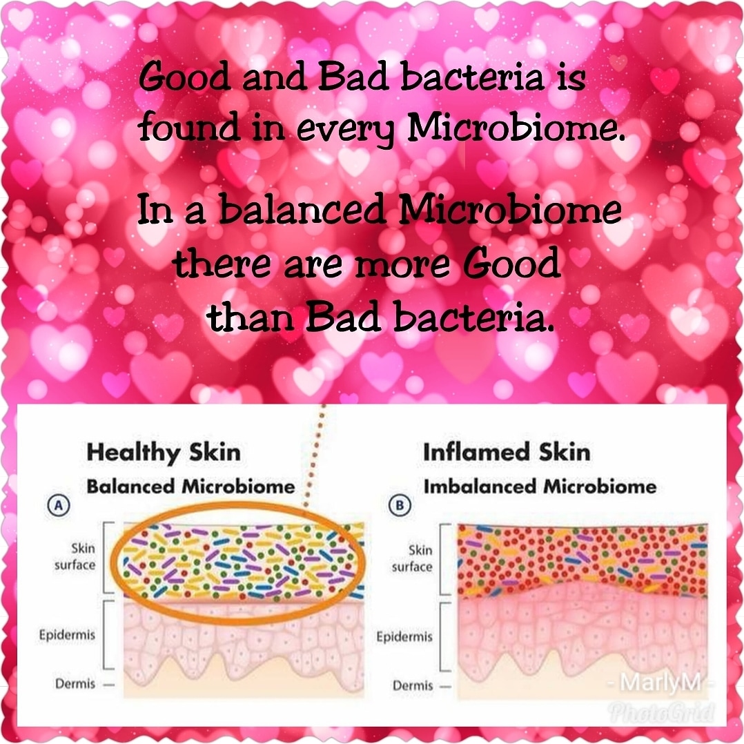 marlymlm's tweet photo. Y'all have a great day!
💕Love Your Aura 💕 

#lovebuildingconfidence 
#clean #pure #nontoxic
#skincare #makeup #bodycare
#takecareofyourmicrobiome
#isavefaces #isavebodies #loveyouraura https://t.co/ZsFZUpmKyt