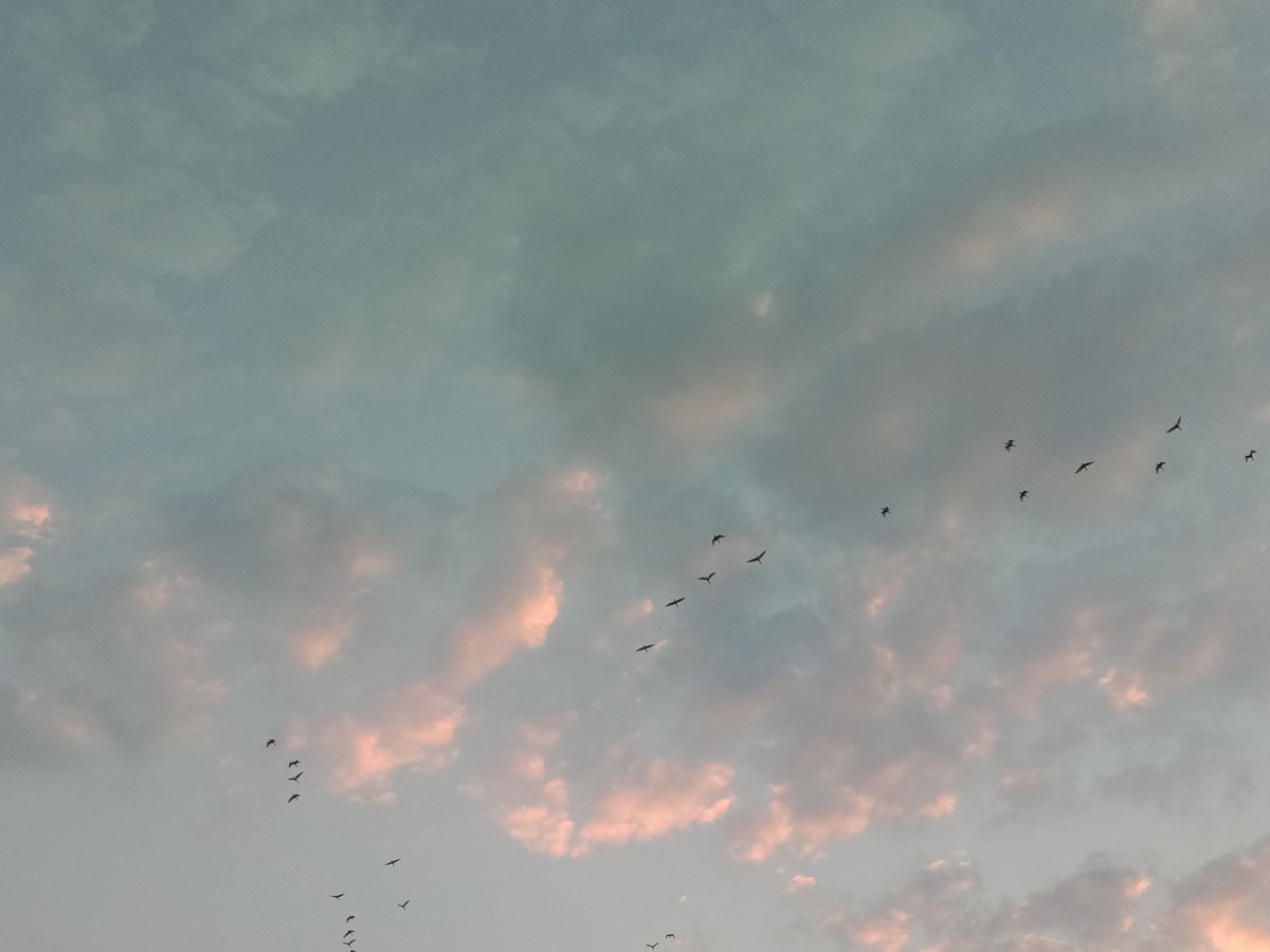 uaenaLi8's tweet photo. เอาท้องฟ้าจากประเทศเชียงรายมาฝากคร้าบบบบบ🌄🌞🌤🌥 https://t.co/V5Q0tb78hP