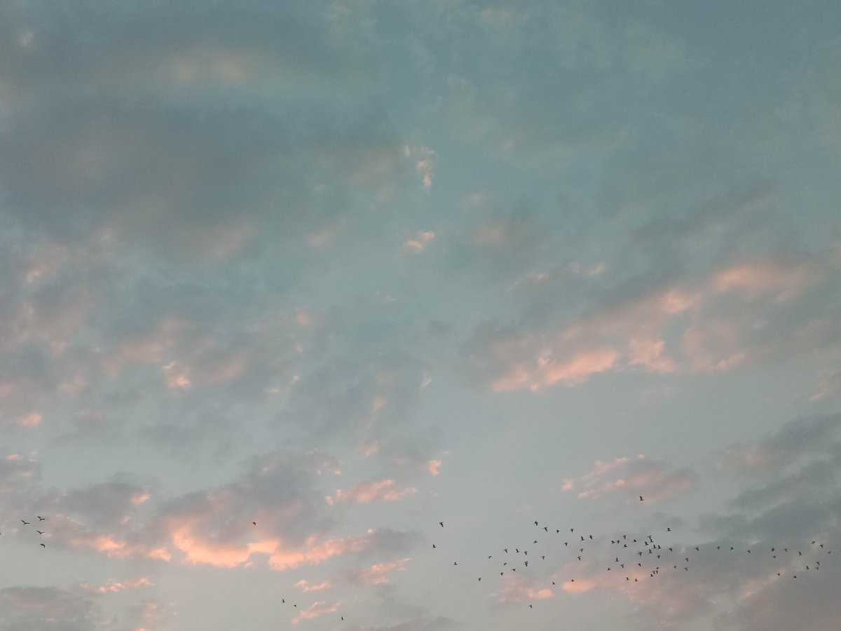 uaenaLi8's tweet photo. เอาท้องฟ้าจากประเทศเชียงรายมาฝากคร้าบบบบบ🌄🌞🌤🌥 https://t.co/V5Q0tb78hP
