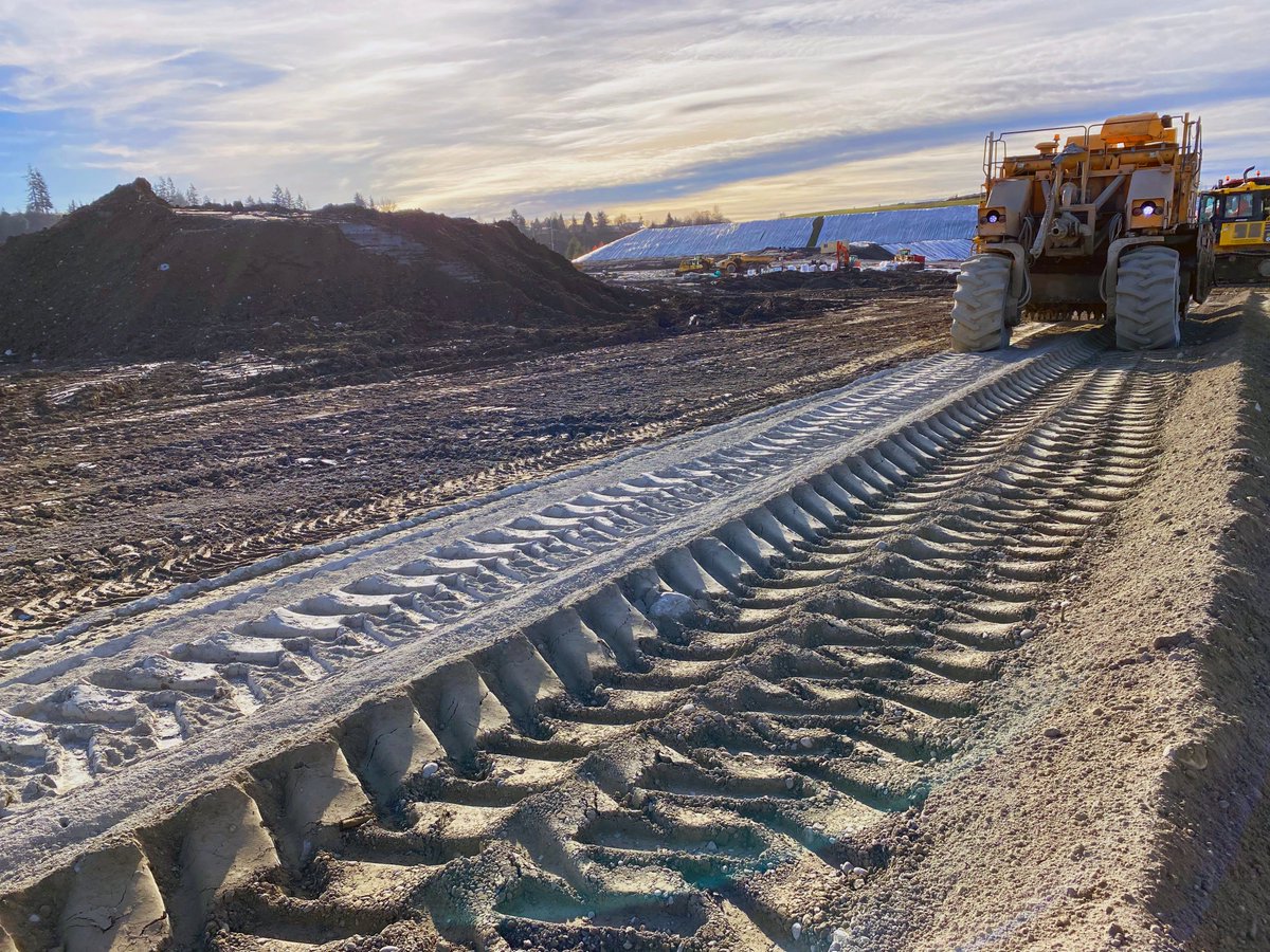 Foushée tweet media