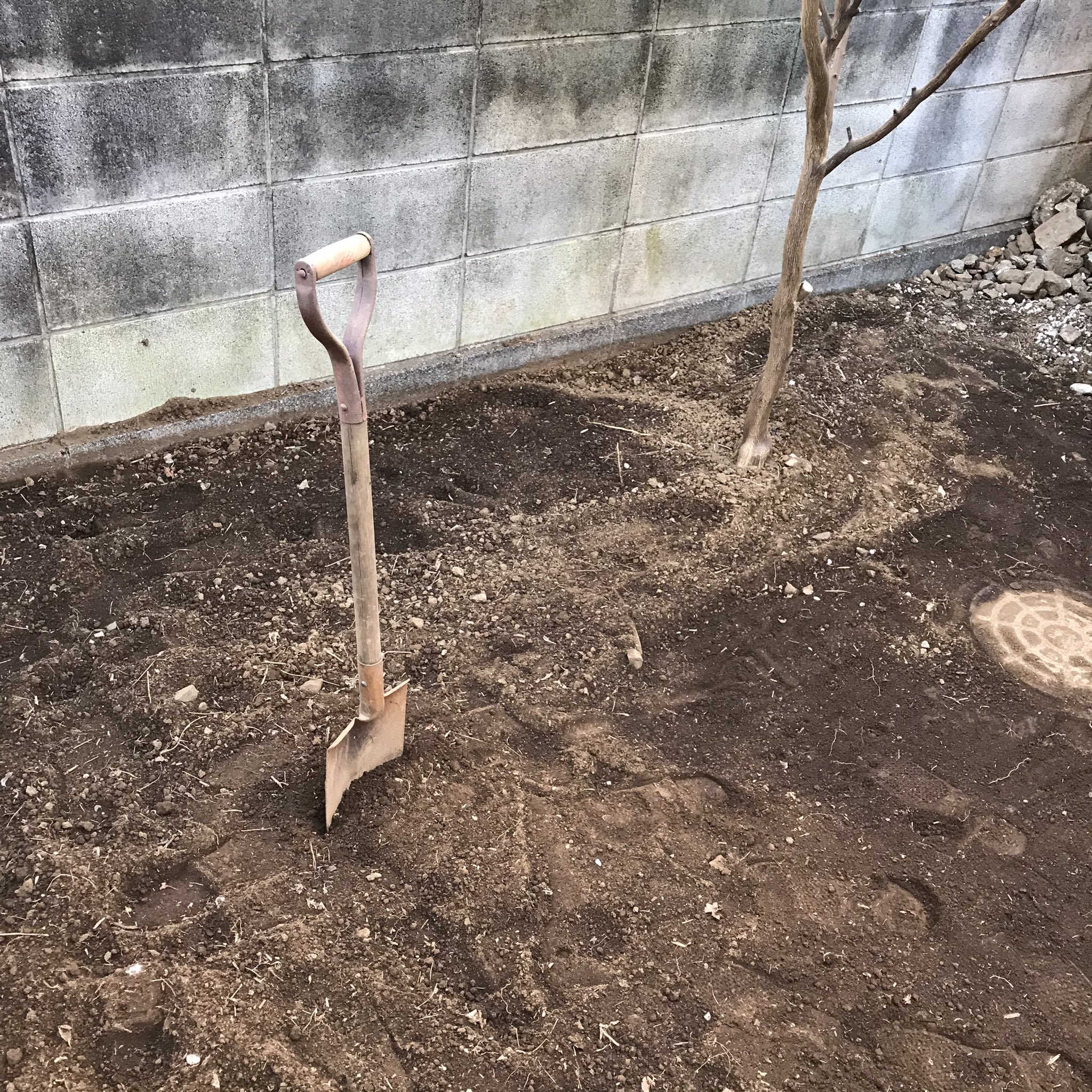 笑 雑草だらけの庭 を何とかしてるとこなんだけど 来週でっかい倉庫が届くのでそれまでに何とか整地して防草シートを敷かなければならない 整地するのに土を固める ローラーとかタンパーとかいう道具が要るらしい T Co Np2xzbkzqo Twitter