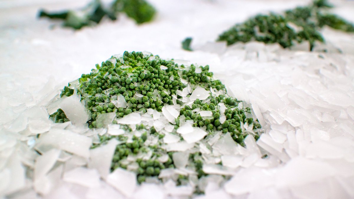 ブロッコリーの保管場所は野菜室じゃない ブロッコリー農家の呼びかけが話題に Togetter