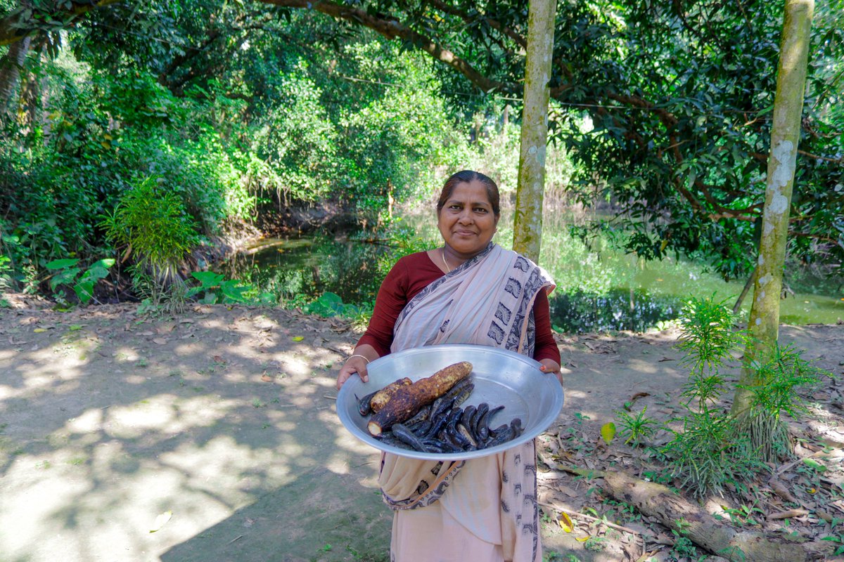 VillageFoodLife's tweet photo. Purple Yam and Fish Village Cooking Recipe 
Watch Full Video: https://t.co/LtphITMbJb https://t.co/N6LcO7JbOg