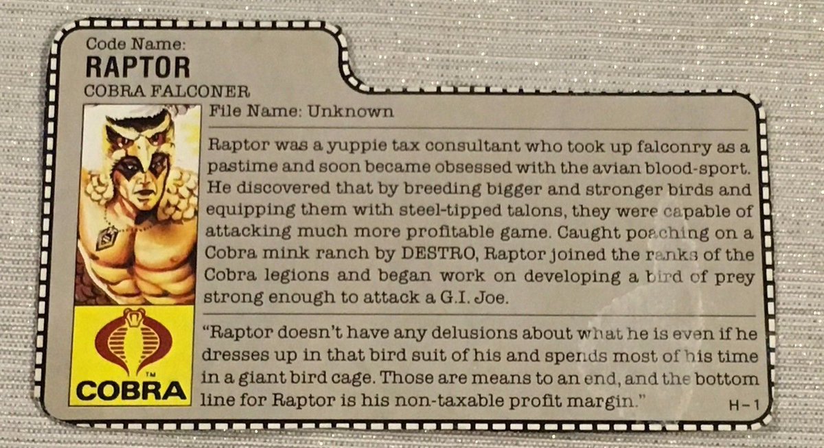 Raptor, the Falconer / Accountant of an evil terrorist organisation  https://twitter.com/ClassicGIJoe/status/1348832104457658368