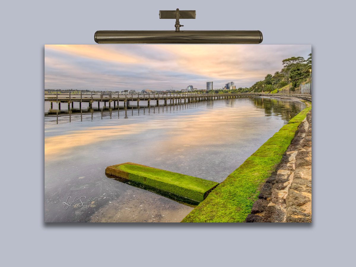 LyndenJSmith's tweet photo. Photo of the day, 'A HINT OF COLOUR'. Full daily blog & photograph at https://t.co/CiI4A3b1G2 #potd #Rippleside #Victoria #Australia https://t.co/2SRYIVKvnB