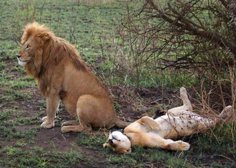 _Hybreed_'s tweet photo. Mood. https://t.co/YMDk4jdP3f