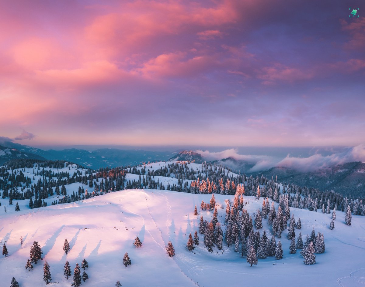 PictureThisAI's tweet photo. ⛄ https://t.co/d0DLdiKDWd