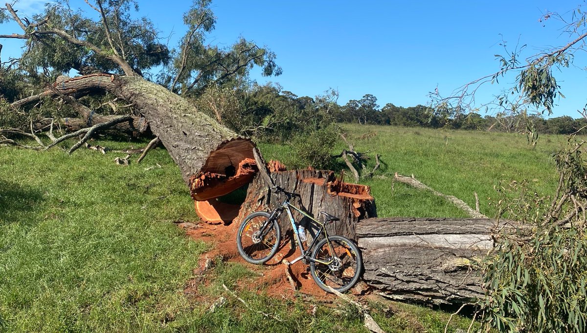 11) A question for  @LendleaseGroup. Exactly how many trees will  #Lendlease be chopping down for its Mt Gilead housing development?No PR response please. Just the exact number of trees that you'll be destroying for this housing development.