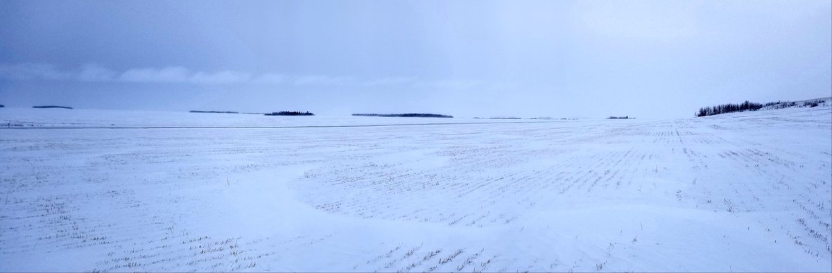chelseavalois's tweet photo. Ohhhh Canada! #Saskatchewan #Prairies #Homequarter https://t.co/0igm1LWCas