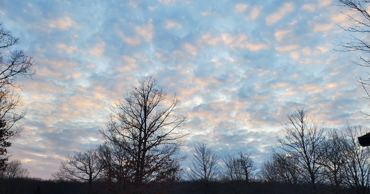 Sarah O'Fee tweet media