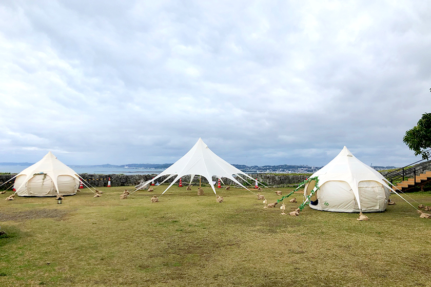 世界遺産でグランピング！

#グランピングジャパン #グランピング #勝連城フェス #沖縄 #うるま市 #ロータスベルテント #glampingjapan #lotusbelle #event