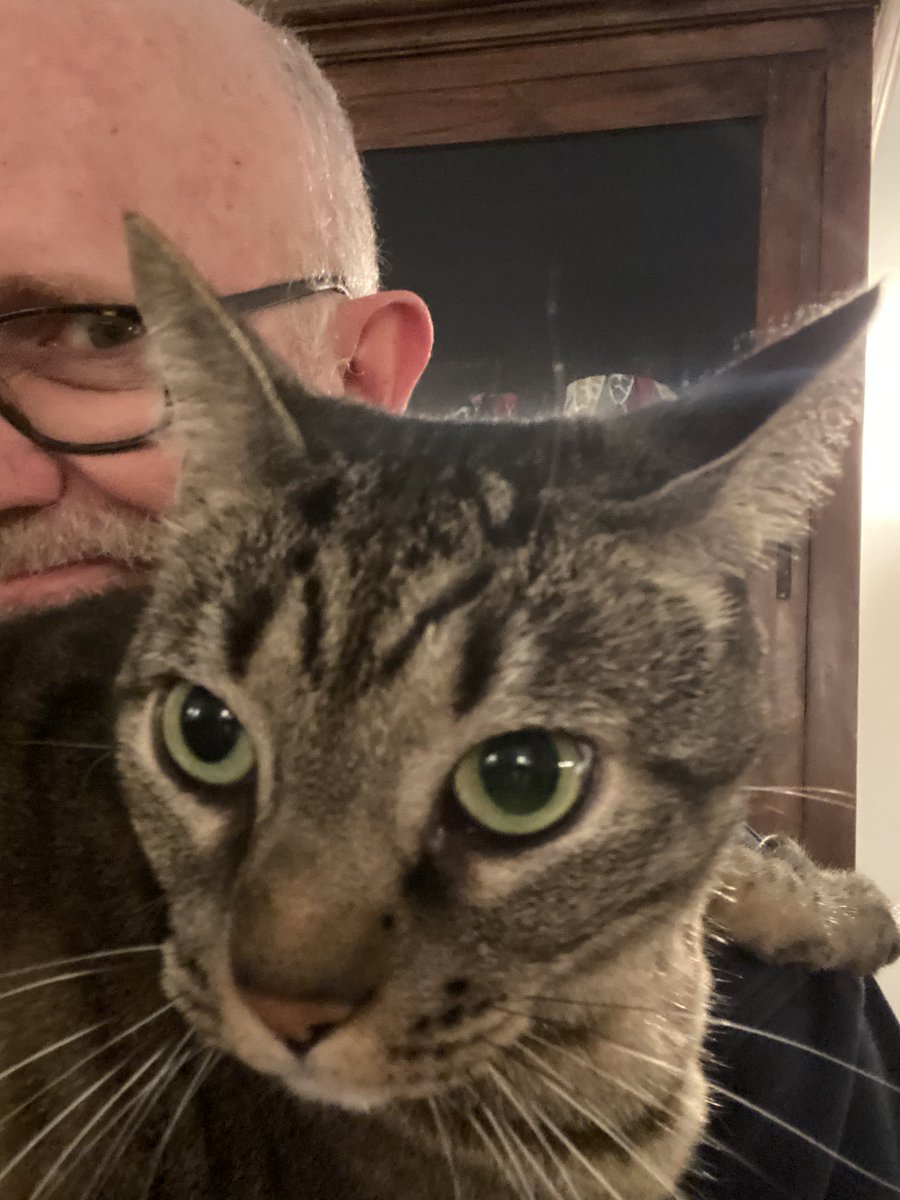rick wilson twitter on Rick Wilson On Twitter The Cat Is Alive