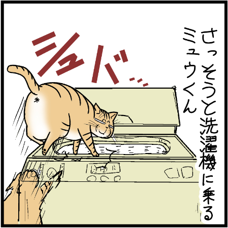 猫の冒険心ってヤツはなんでこう・・・w
#にゃんこ #まんが #マンガ #4コマ漫画 #四コマ漫画 #猫 #ねこ部 #ねこ #猫あるある #猫漫画 #ペット #飼い主 #ねこらぶ #エッセイ漫画 #みんねこ #キャット #ねこのいる生活 #猫ばか #にゃんだふるらいふ 