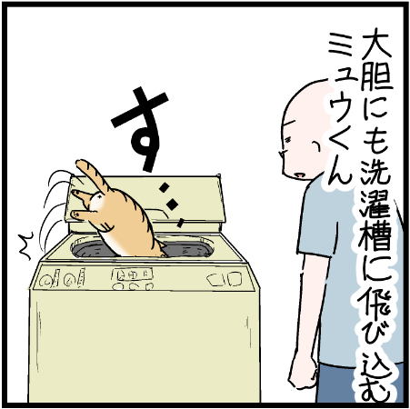 猫の冒険心ってヤツはなんでこう・・・w
#にゃんこ #まんが #マンガ #4コマ漫画 #四コマ漫画 #猫 #ねこ部 #ねこ #猫あるある #猫漫画 #ペット #飼い主 #ねこらぶ #エッセイ漫画 #みんねこ #キャット #ねこのいる生活 #猫ばか #にゃんだふるらいふ 