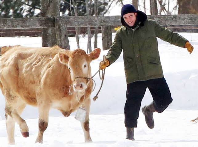 poetrysfilms's tweet image. no thoughts.. just robert pattinson and cows