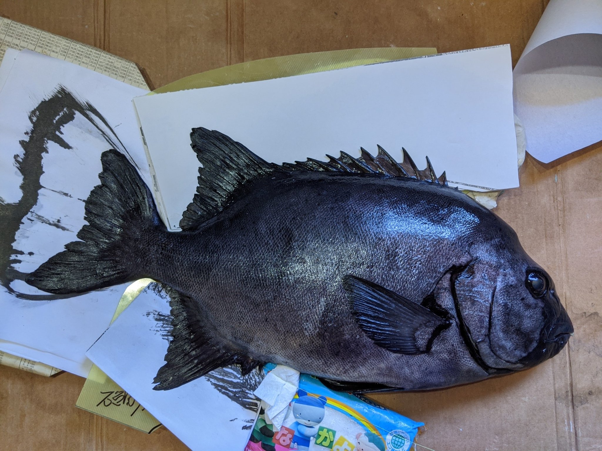 釣具屋あどう 魚拓 型取りは終了 T Co L4p85ge7t3 Twitter