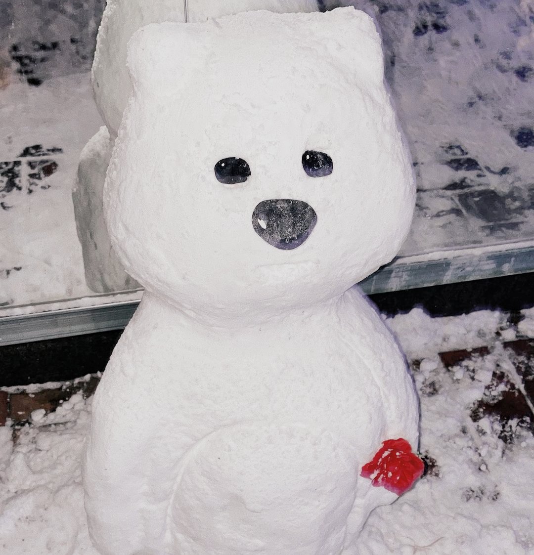 maehris's tweet photo. my bf and i did a thing together. 🐻‍❄️⛄️ no you don't get to see my face because a bitch was COLD. https://t.co/eADT1wNK4y
