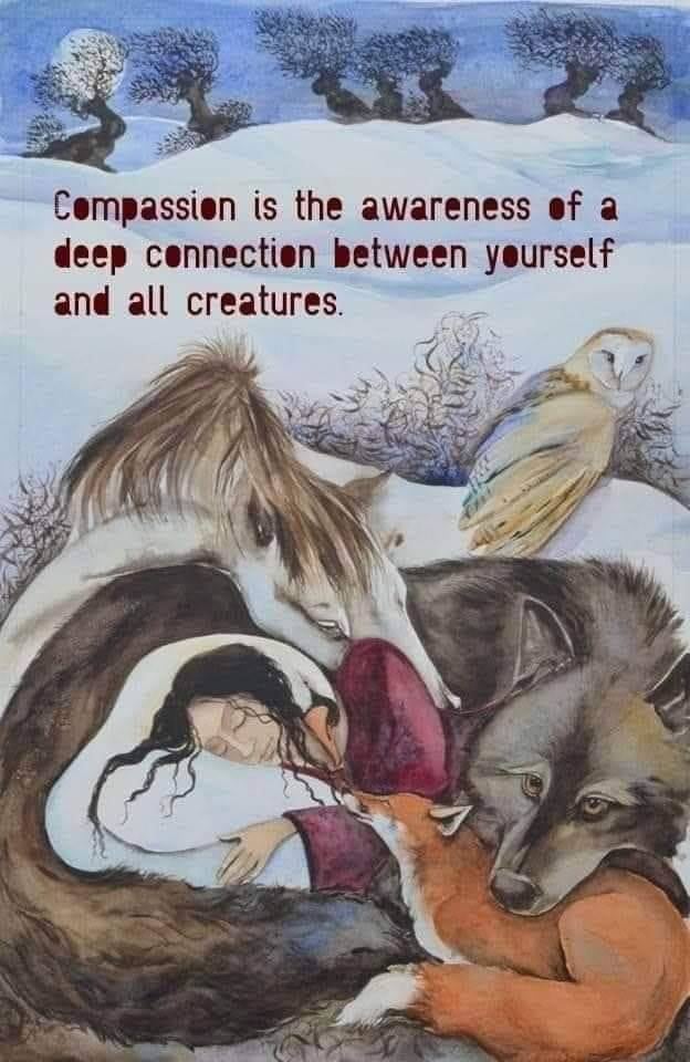 lorirob's tweet image. 