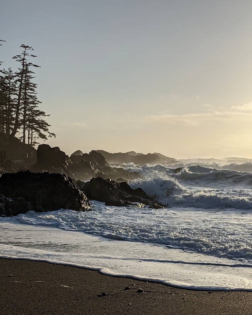 mr_wilson3's tweet photo. Catching a little west coast sun between storms.
.
.
.
#explorevanisle #explorebc #explorecanada #portmcneill #porthardy #visitporthardy #britishcolumbia #vancouverisland #canada #vanisle #beautifulbc #hellobc #ilovebc #sharecangeo #sharevi #brmb #sharet… https://t.co/S0Qo7e24wG https://t.co/IIFOlJ1KWJ