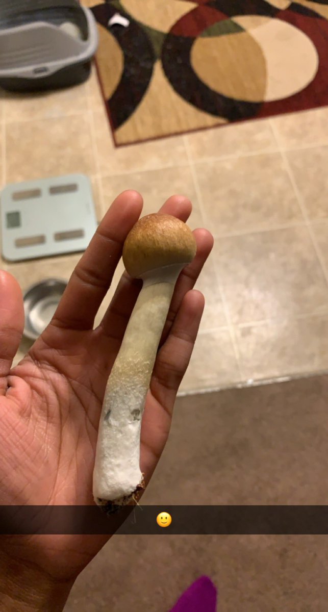 breechillaf's tweet photo. Shroom almost as big as my hand 😍 https://t.co/ZMjdZlD9uw