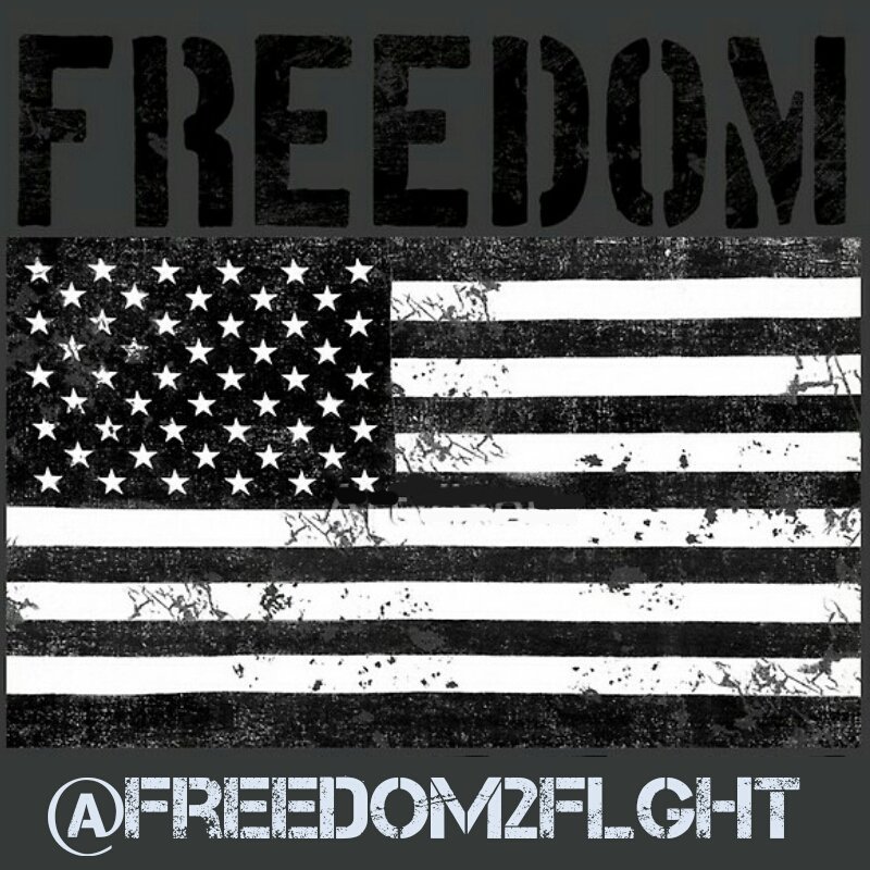 Freedom2FlGHT tweet picture