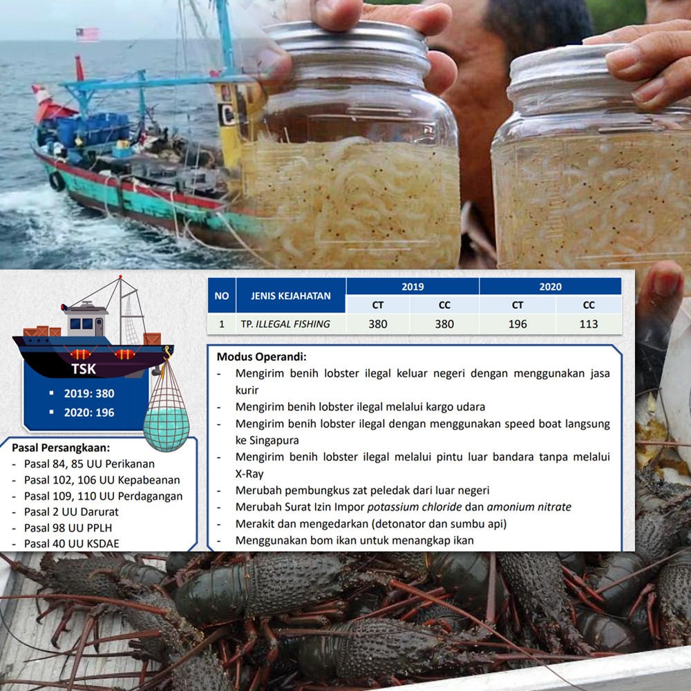 Roote007's tweet photo. Prestasi Bareskrim Polri, Segala tindak pidana illegal fishing dinilai mengalami penurunan dari tahun kemarin yang mana di 2019 mencapai angka 380 dan di 2020 turun di angka 113.

#CalonTunggalKapolri https://t.co/QKuWio5bz1