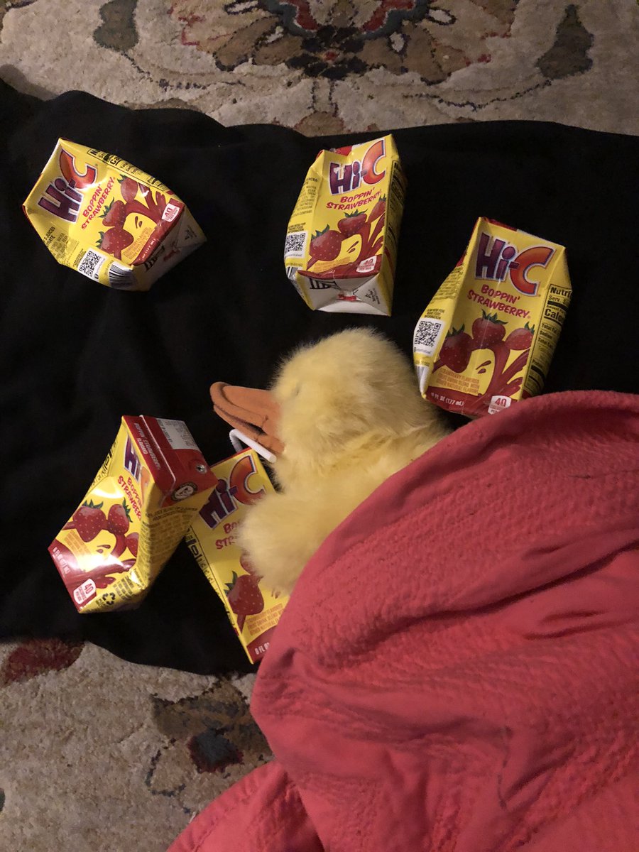 DuckDumpy's tweet photo. Faded
#cute #duck #ducks #funnymemes #memes #meme #comedy #scary #horror #adorable #animals #cowboy #pringles #dumpytheduck #ohio #memesdaily #video #dankmeme #dankmemes #cartoon #art #artistsoninstagram #artwork #artist #videogames #spiderman #comedyvideos #comedymemes #youtube https://t.co/d808Pk69Ye