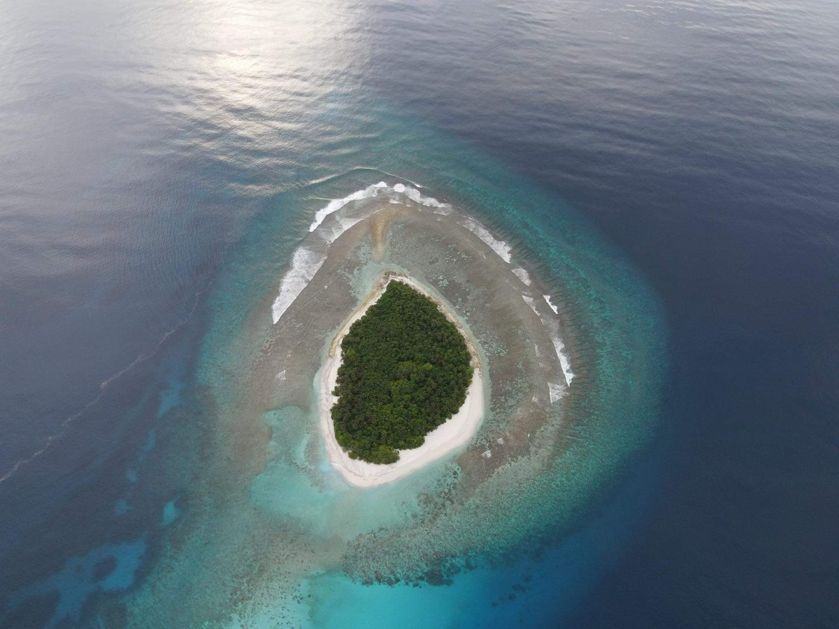DhivehiView's tweet photo. #GaafAlif  #Maldives
https://t.co/EVgKOAhBFE