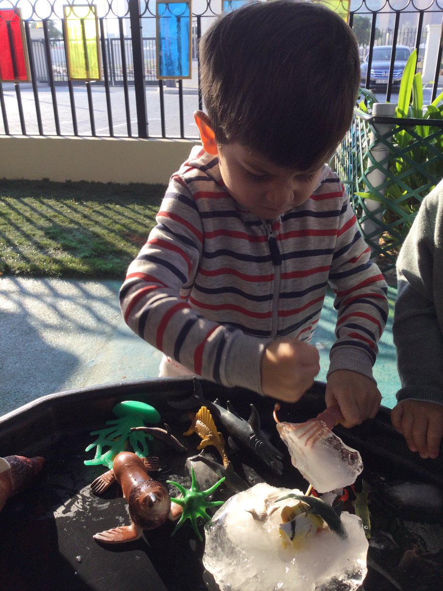 ReptonAB_EYFS's tweet photo. Pure entertainment - for the teachers! Children were trying their best to save the creatures that were frozen overnight because it was sooo cold!!
@ReptonAlBarsha #ForemarkeDXBProud #ForemarkeDXBCommunity #InThisTogetherDubai @WhichSchool_UAE https://t.co/DsDiEOoWFb