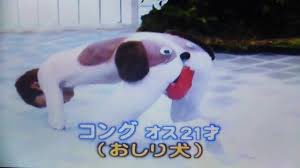 中濃bot 梶原がはねとびでやってたおしり犬だー 岡村と梶原混同するとかどっちにも失礼だなごめんなさい