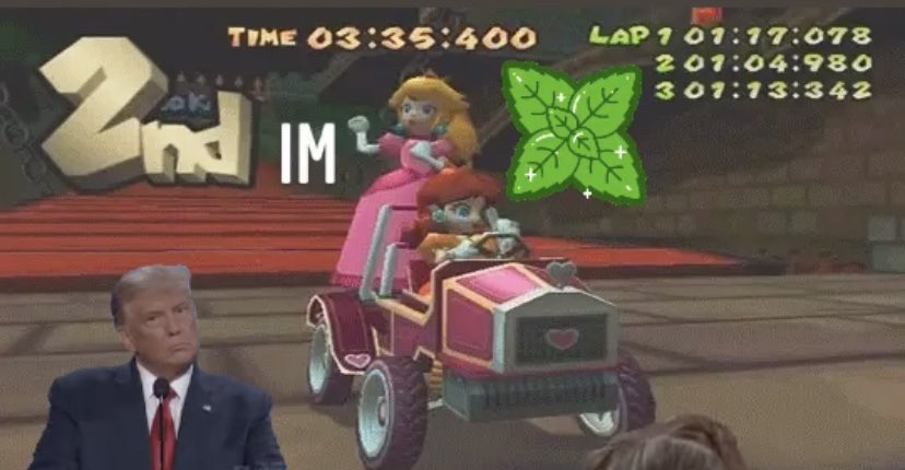 mattdstokes's tweet photo. Just gonna leave this here. #TrumpImpeachment #MarioKart #peach #uspoli https://t.co/vFaRoNNwAK