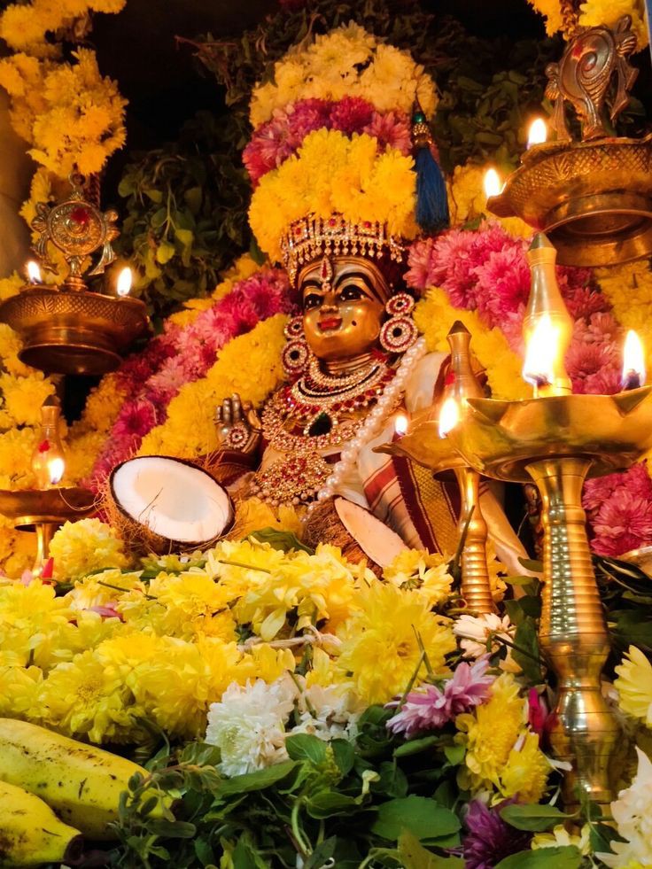 பாண்டி மலையாளம் அடக்கி ஆளும் வில்லாளி வீரன், வீரமணிகண்டன், கலியுக வரதன், அரிஹரசுதன், ஆனந்த சித்தன், ஐயன் ஐயப்ப சுவாமியே! சரணம் ஐயப்பா!