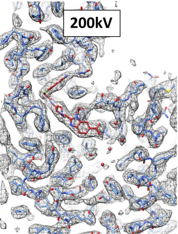 reducentropy's tweet photo. RHenderson's dream of #cryoEM 'for the masses' becoming a reality
https://t.co/EhbXUtz7Bn
#OpenAccess https://t.co/QO6NYhlXfG