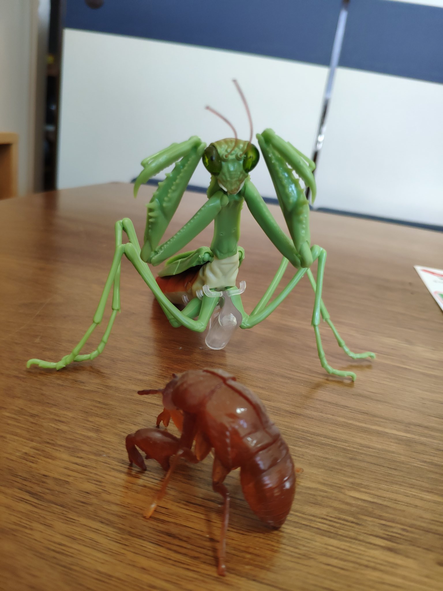 تويتر なかむらみつのり Jet على تويتر ガチャガチャのカマキリフィギュアのクオリティーが凄い ちなみに 蝉の幼虫は１番くじです T Co 4iruukzm5h