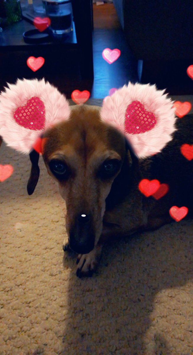 AngeliaOllerman's tweet photo. OMD!!! More filters 😤😡😡😡 #wearebreakingthephone #pooinashoeforyou #helpus #theabuse #totallyuncool https://t.co/bEu1HoRSMk