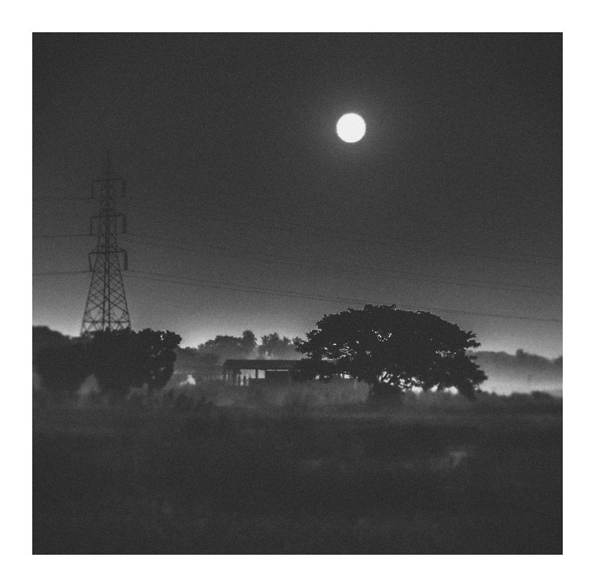 photographyvlog's tweet photo. Mystery https://t.co/rTb8GBFi5j