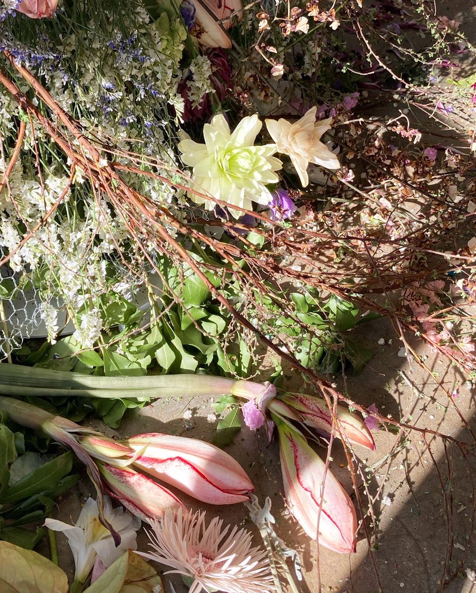 gui solo exhibition 「色を纏う花展」
1/8-1/17

本日も20:00までオープン🕊

"フラワーロスについて一人でも多くの人に知ってもらい”という思いが込められたフラワードレス。
鮮やかな花々がとても美しいです✨
ドレスの足元に広がるドライフラワーもとても綺麗なので、是非ご注目ください🌷🍃