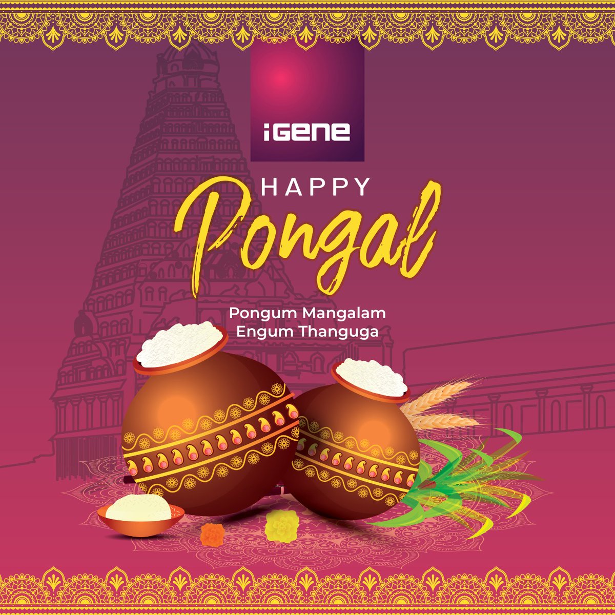 iGeneDIandVFX's tweet photo. May the Festival of Harvest ensure that you have the best food and the best life. Wishing you & your loved ones a very Happy Pongal - Team iGene
#TeamiGene #pongalopongal #entertainment #iGene #DI #VFX #vfxdigital #celebration #happypongal #visualeffects #tamil #festival https://t.co/SqyQOswi2J