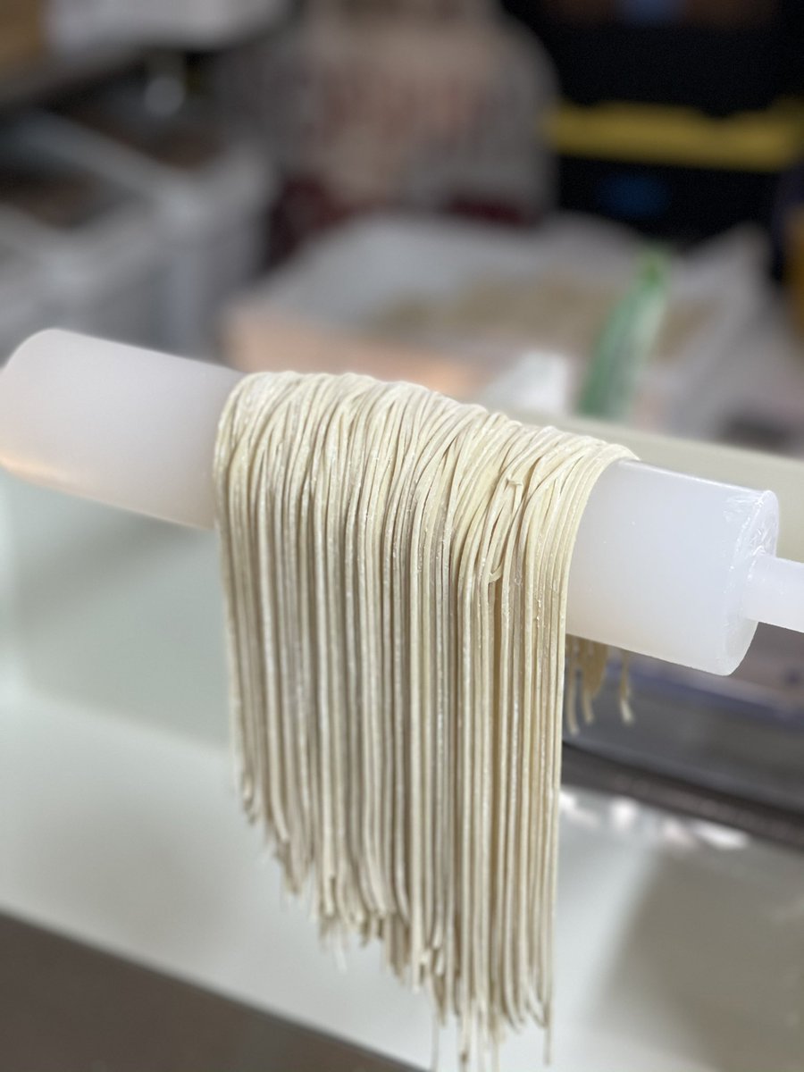 Noodles are life. I cannot deny.