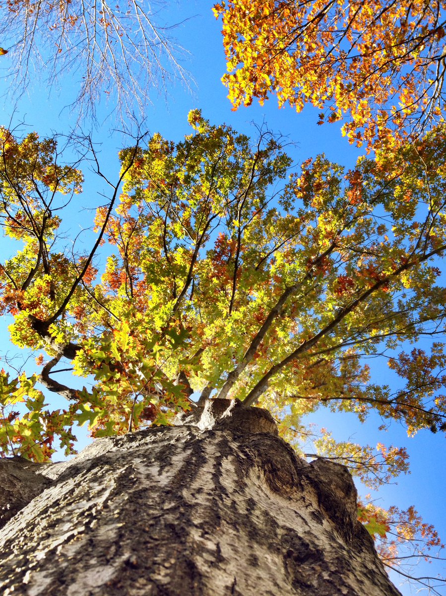 Clausinea's tweet image. Algunos de los CIELOS en mi carrete. #BlessedBeyondBelief