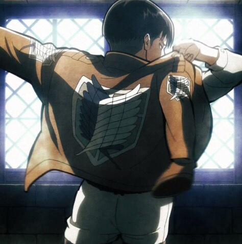 hourlylevi's tweet photo. https://t.co/6m2j9DJuDl