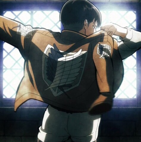 hourlylevi's tweet photo. https://t.co/6m2j9DJuDl