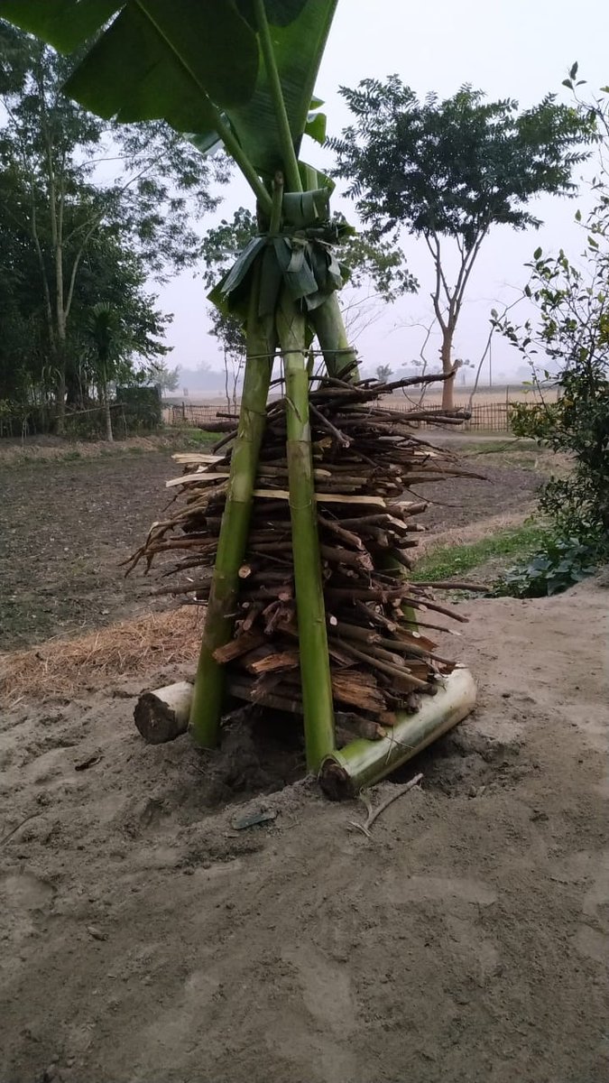 In upper Assam, the Meji is a structure built of logs of wood placed in pairs, tier above tier till they rise to considerable height. The corners are supported with four full grown banana plants.Pic Courtesy :  @boowoo06 &  @BhabenDas6 4/n