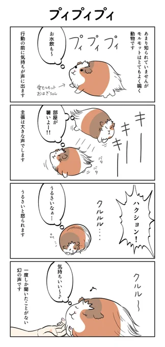 モルのいる生活はいいですよ☺️(漫画再掲) 