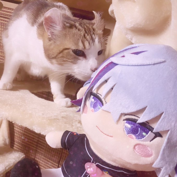 ふわぬいだあああああああああああああああああああああああああああああ 