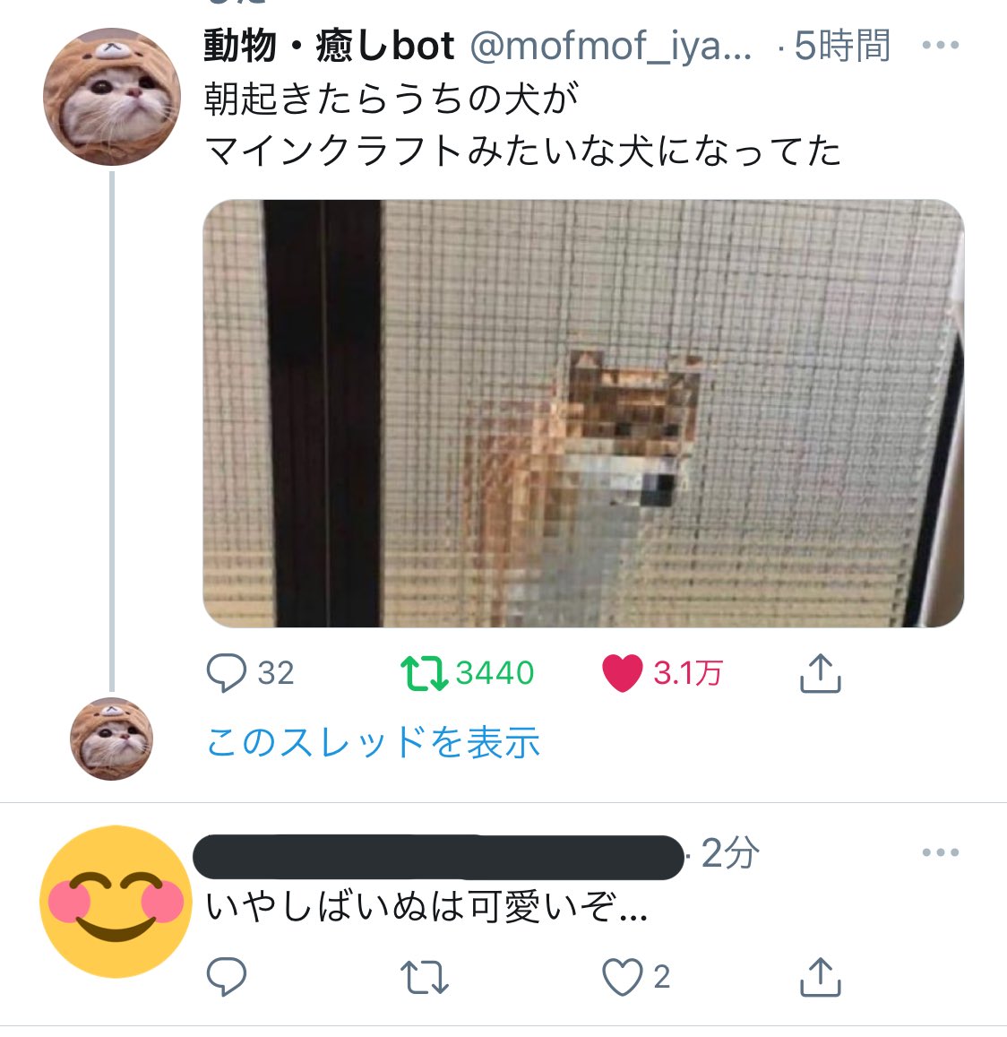動物 癒しbot 朝起きたらうちの犬が マインクラフトみたいな犬になってた T Co Khnno1awua Twitter 動物 癒しbot 朝起きたらうちの犬が マインクラフトみたいな犬になってた T Co Khnno1awua Twitter