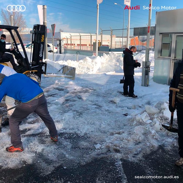 AUDI_Sealco_Mot's tweet photo. El equipo de profesionales de Sealco Motor Audi trabaja duro para poder reanudar cuanto antes el servicio habitual al cliente.
Esperamos comunicarles la reapertura muy pronto.

#AUDI #SealcoMotor #Alcorcon #Filomena #milladelmotor https://t.co/S4FvwH7jAB