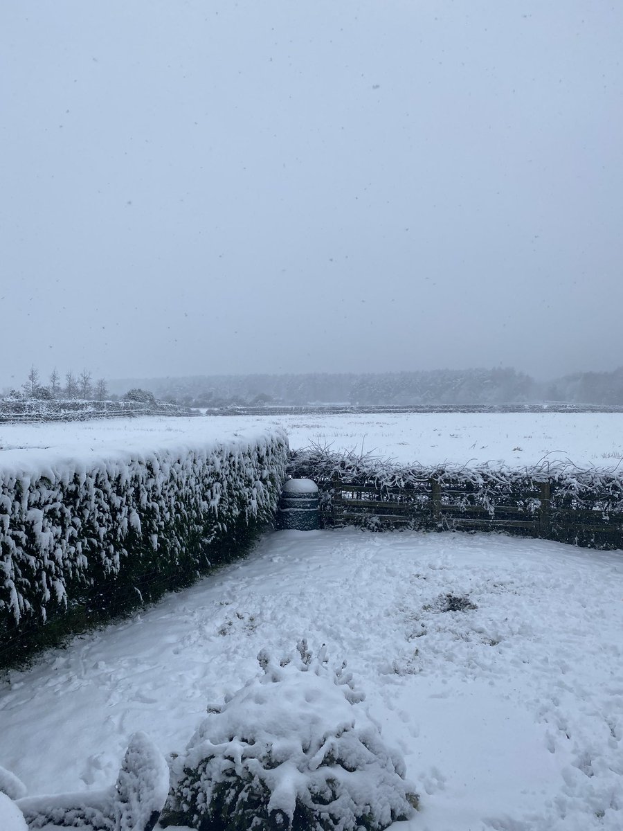 DesignerSmith's tweet image. And it’s back! And still #snowing! Life up in the Howardian Hill! ⛄️❄️ #snowday #northyorkshire