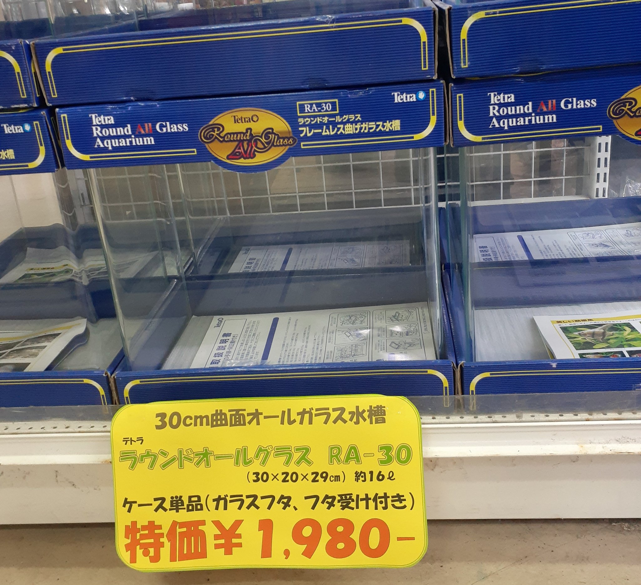 半田水園 岐阜店 水槽 Ledライトがお値打ち 1 24 日 まで テトラ30cm曲面オールガラス水槽 フタ付き単品 が特価1980円 更に 水槽と同時購入でテトラledスマートライトがプラス1500円で付けれます お得なこの機会をお見逃しなく 特売