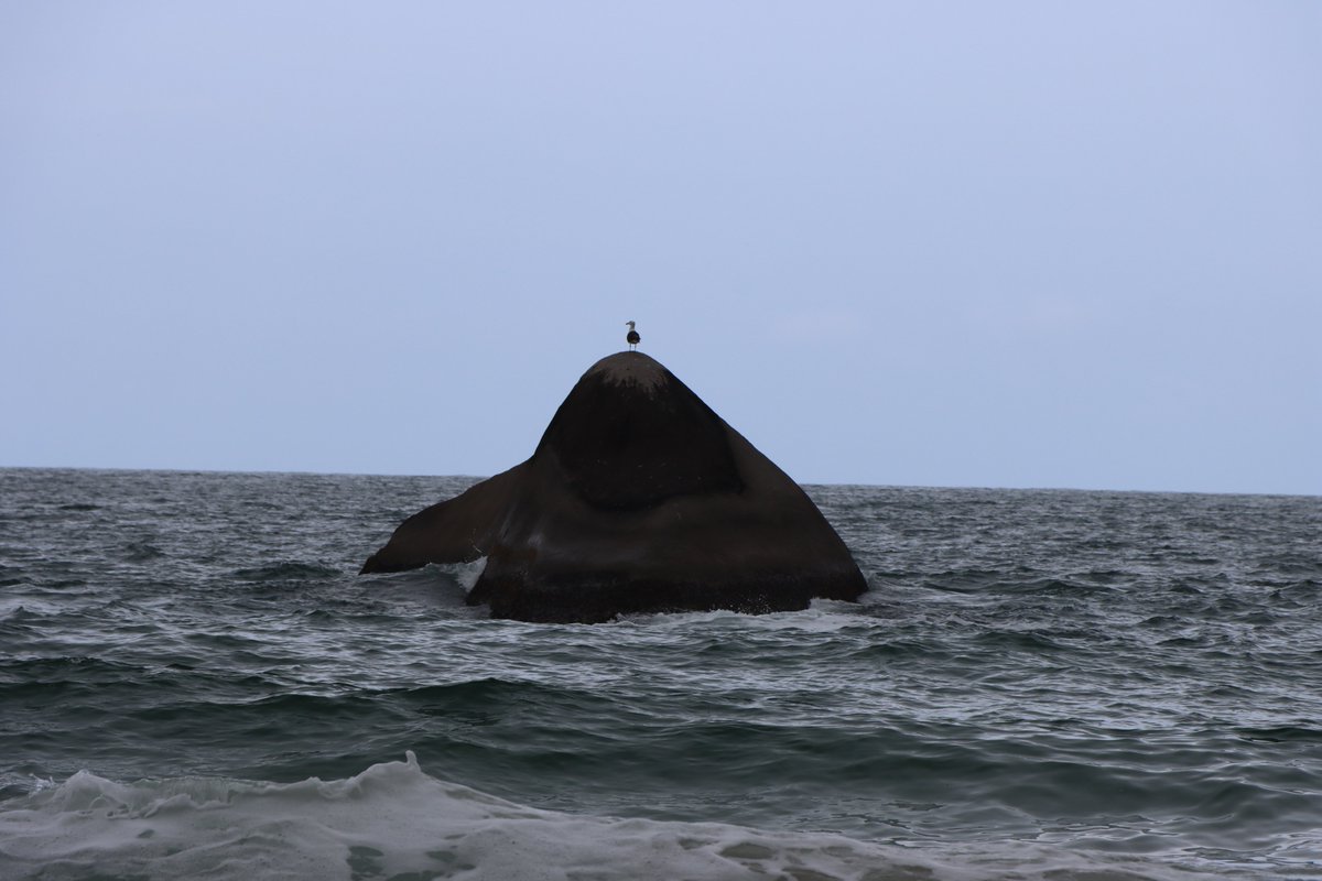 LauraNoMundo's tweet photo. Praia do Caixa d`Aço, Trindade, RJ #beach #trindade #trindaderj #RiodeJaneiro #Brazil #viajar #turismo #viajantes https://t.co/QkEph5olRo